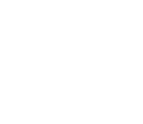 OCTO Logo Symbol
